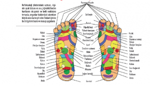 refleksoloji seanslarimiz başlamıştır.