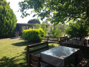 Doğada Yoga ve Kahvaltı Zeytincir'de