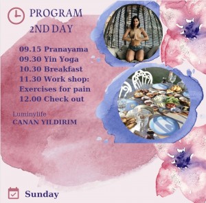 Yoga camp program 2'nd day in Nea Efessos Boutique Hotel 14 15 May 2022 İzmir Selçuk Ephessos Vinifera Hotel
